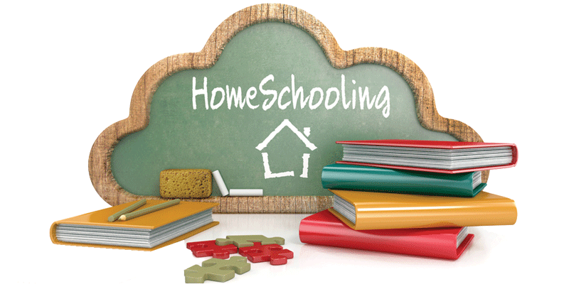 homeschooling indonesia